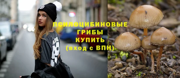 стаф Белокуриха