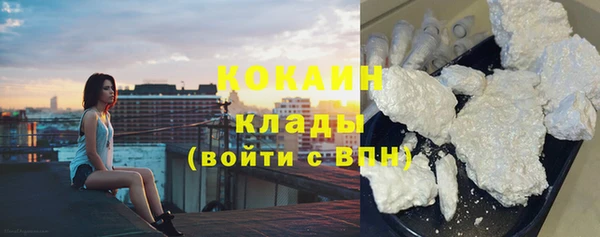 стаф Белокуриха