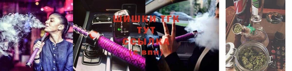 стаф Белокуриха