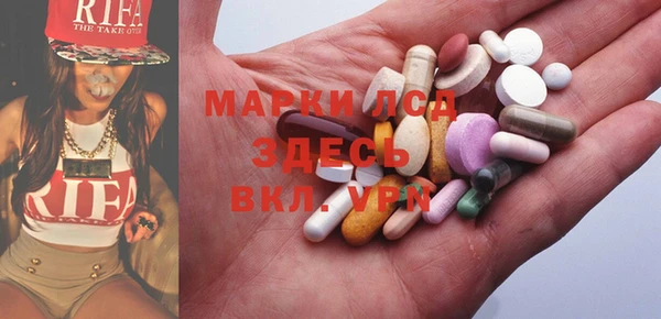 стаф Белокуриха