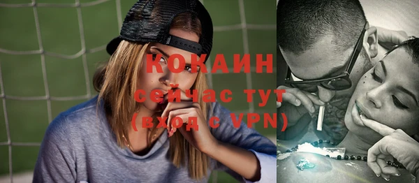 стаф Белокуриха