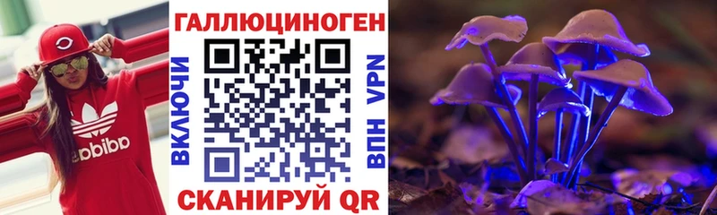 где можно купить наркотик Ясногорск darknet клад Галлюциногенные грибы Cubensis